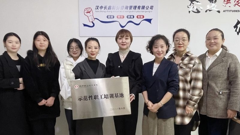 上海可行性研究报告市场价：揭秘行业定价背后的逻辑**
